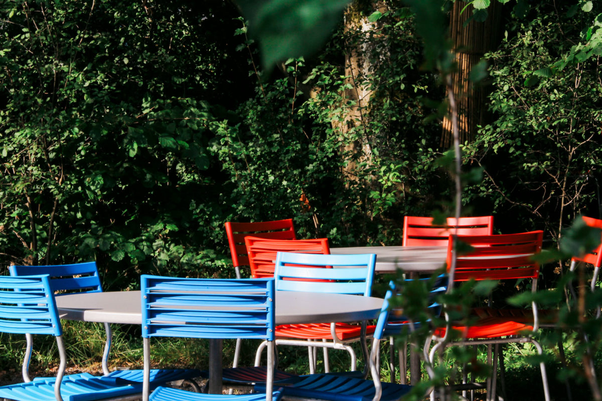 Trotz Corona-Krise – wir haben alles für deinen Gartenfrühling